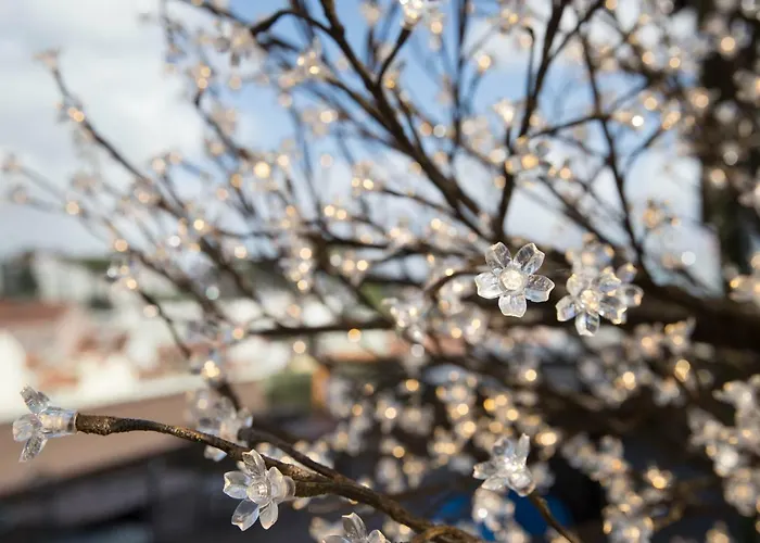 Room00 Ostello Lisbona