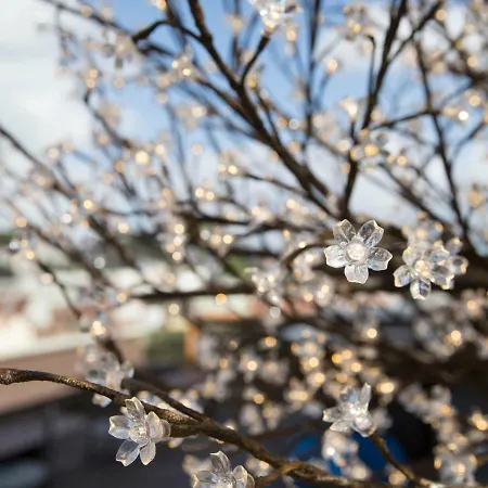 Room00 ホステル リスボン